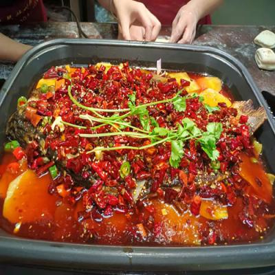 哪里可以学习香辣烤鱼技术培训？