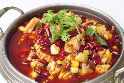  餐饮项目有什么，火锅鸡技术培训哪里好？